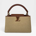 LOUIS VUITTON CAPUCINES MM BAG