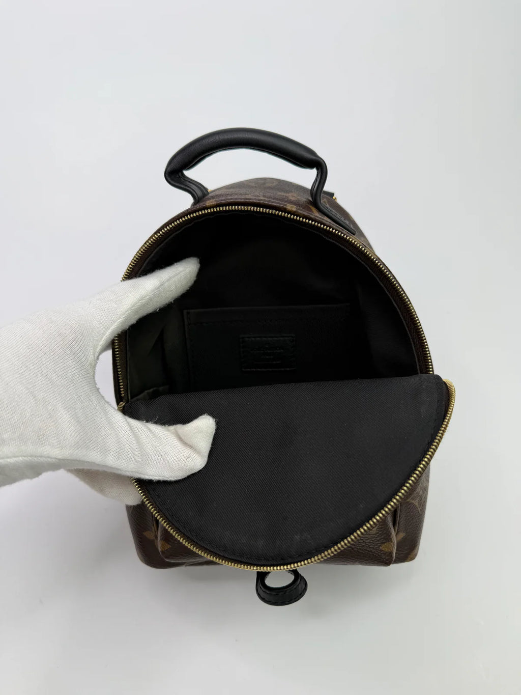 LOUIS VUITTON PALM SPRINGS MINI BACKPACK