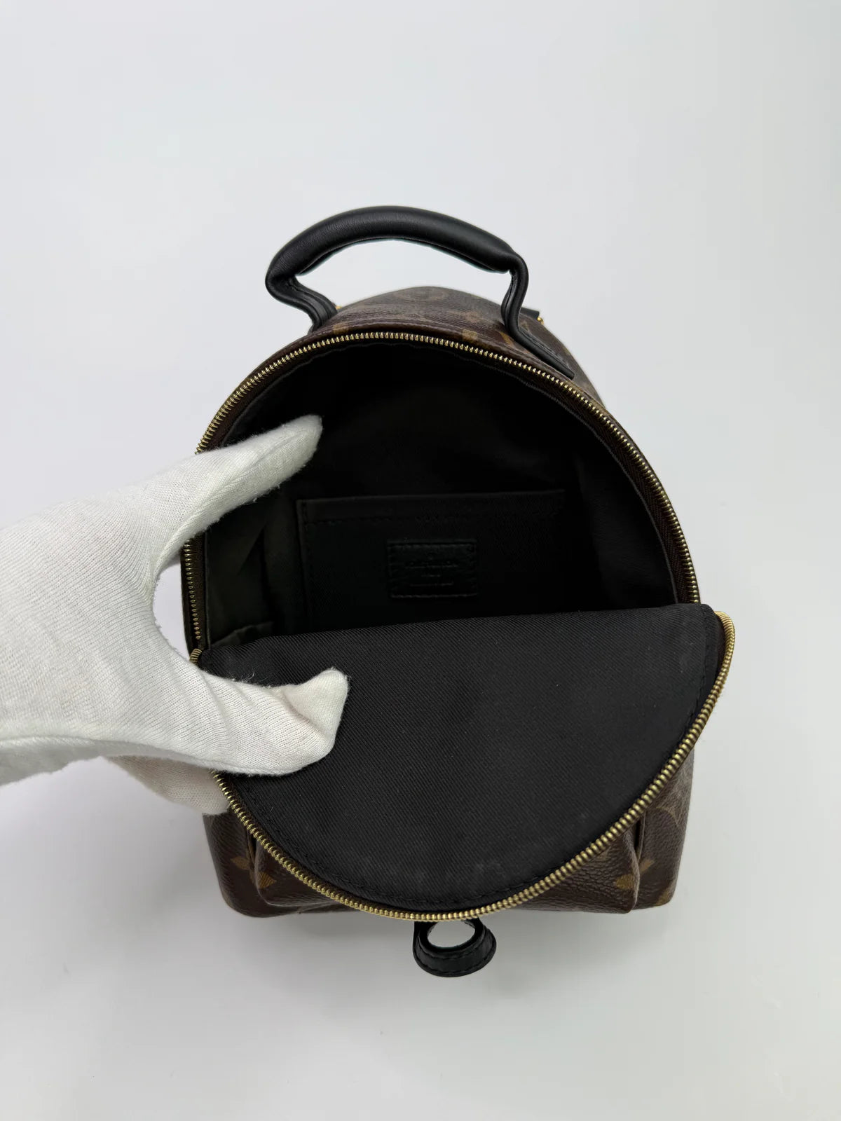 LOUIS VUITTON PALM SPRINGS MINI BACKPACK