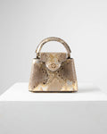 Louis Vuitton Capucine Bag