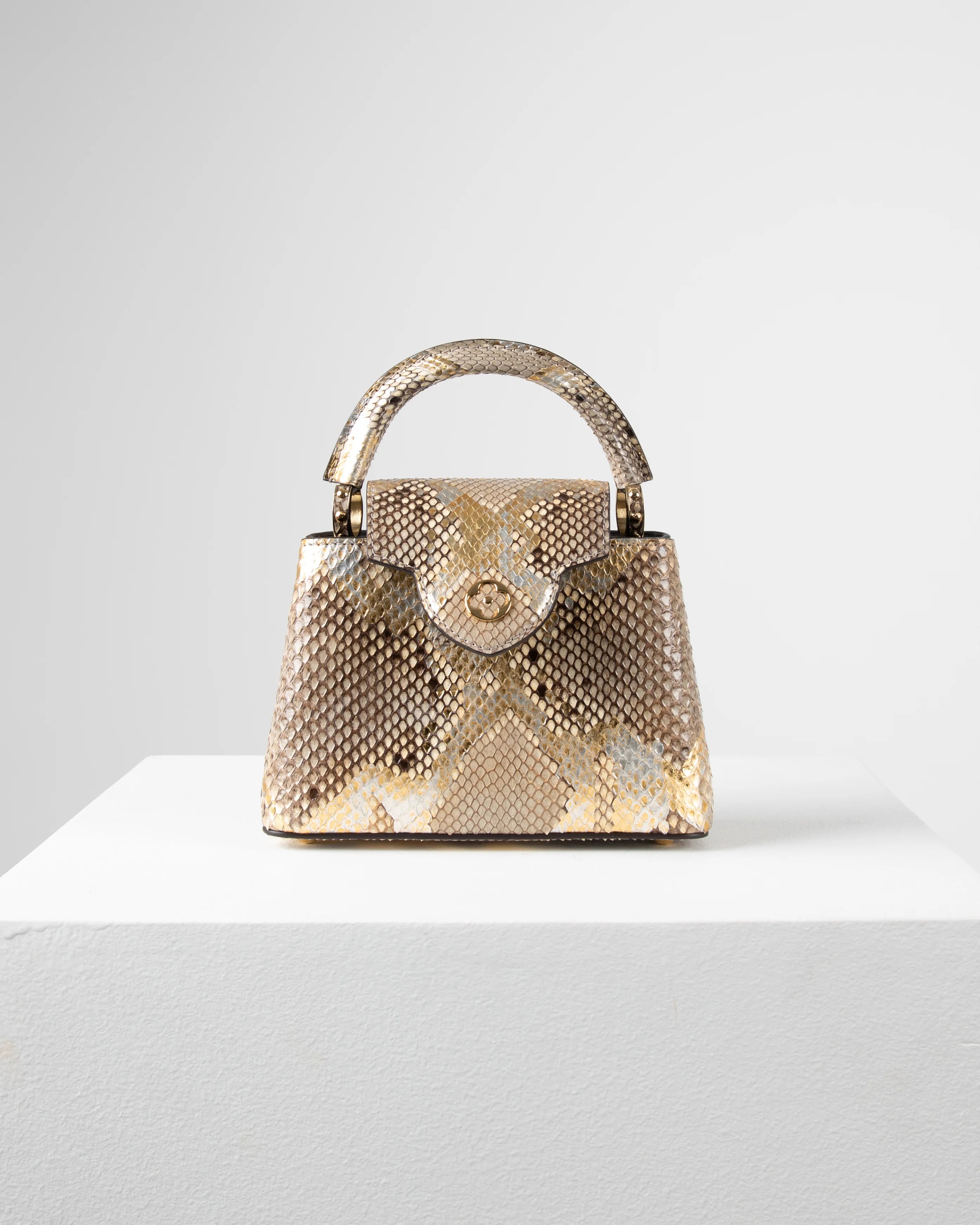 Louis Vuitton Capucine Bag