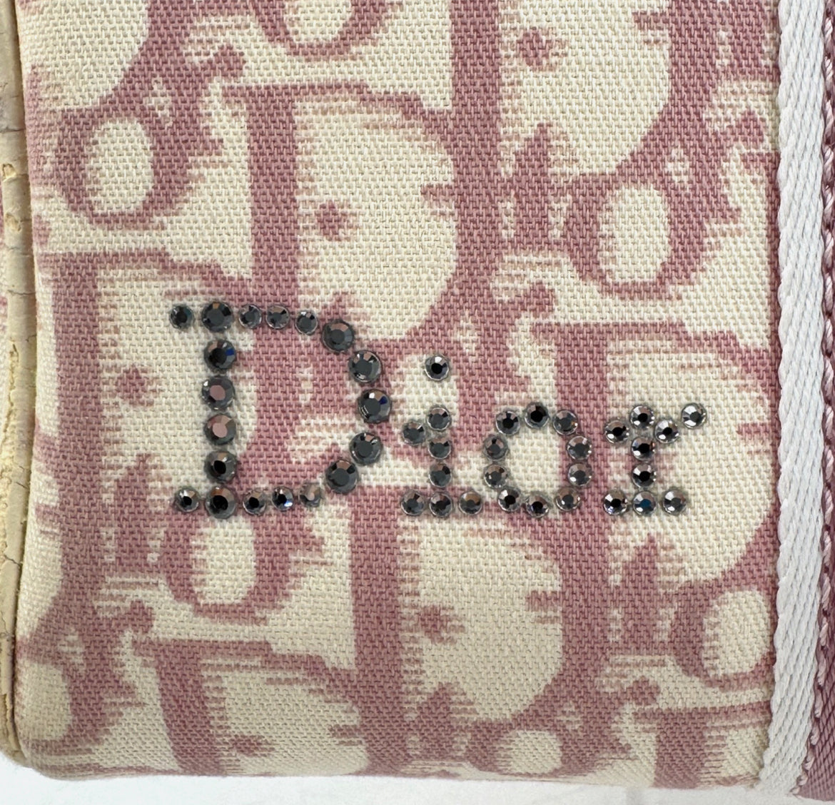 DIOR Pink Trotter Hand Mini Boston Bag Canvas Leather