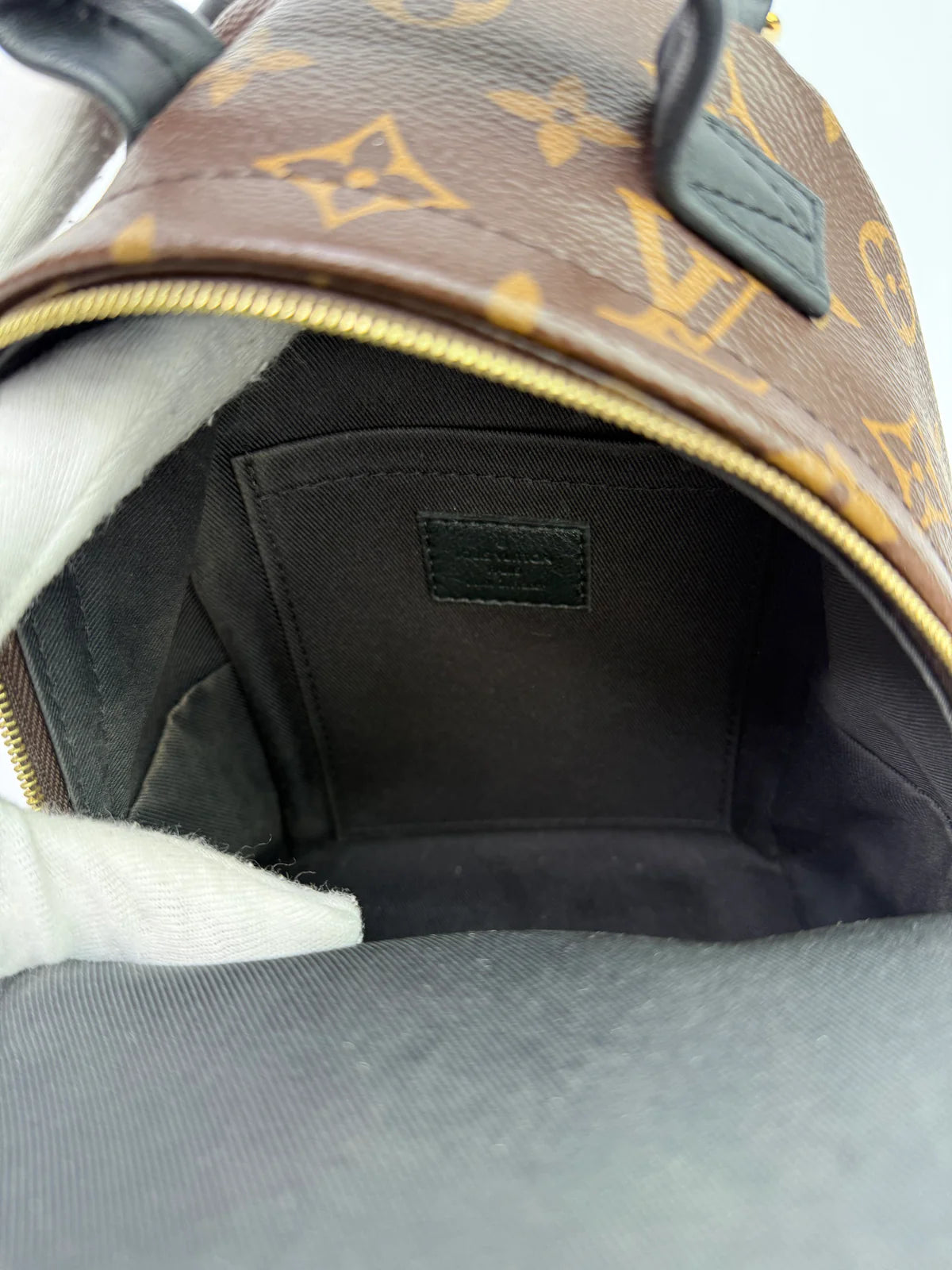 LOUIS VUITTON PALM SPRINGS MINI BACKPACK