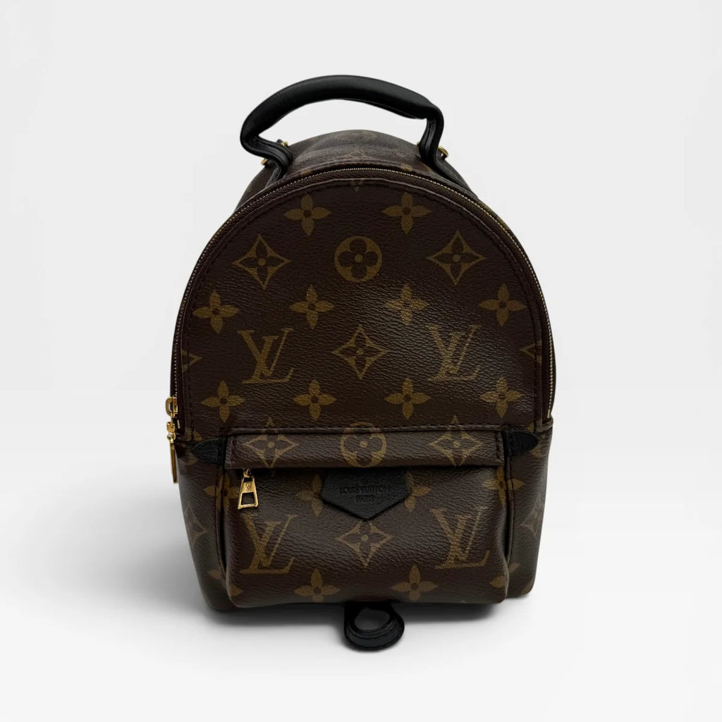 LOUIS VUITTON PALM SPRINGS MINI BACKPACK