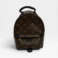 LOUIS VUITTON PALM SPRINGS MINI BACKPACK