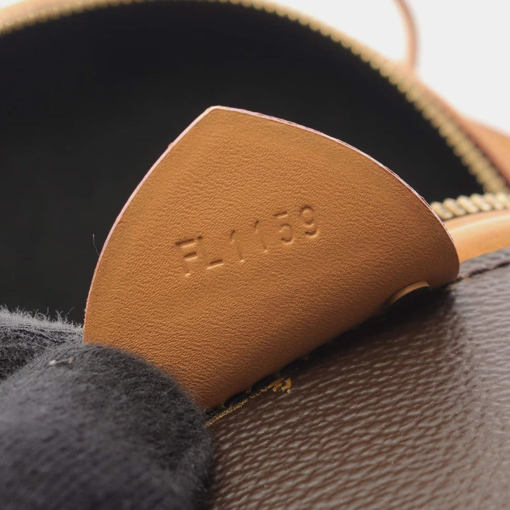 Louis Vuitton Cannes Brown Coated Canvas, Leather Top Handle Bag