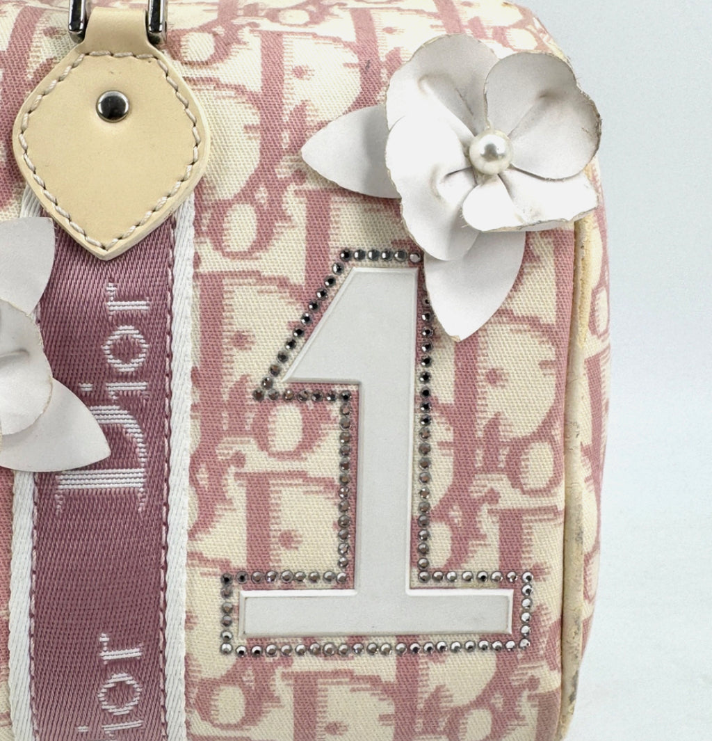 DIOR Pink Trotter Hand Mini Boston Bag Canvas Leather