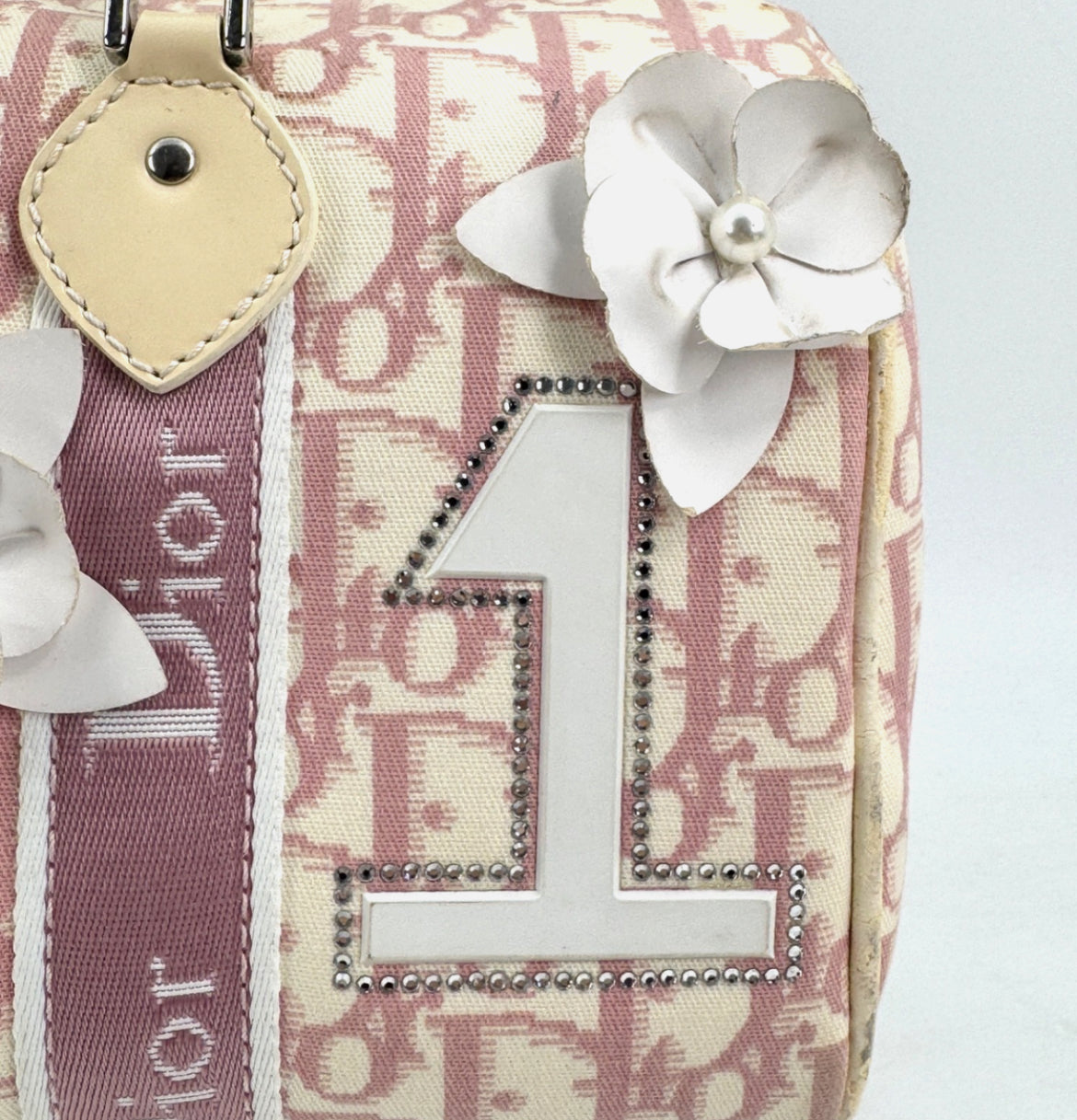 DIOR Pink Trotter Hand Mini Boston Bag Canvas Leather