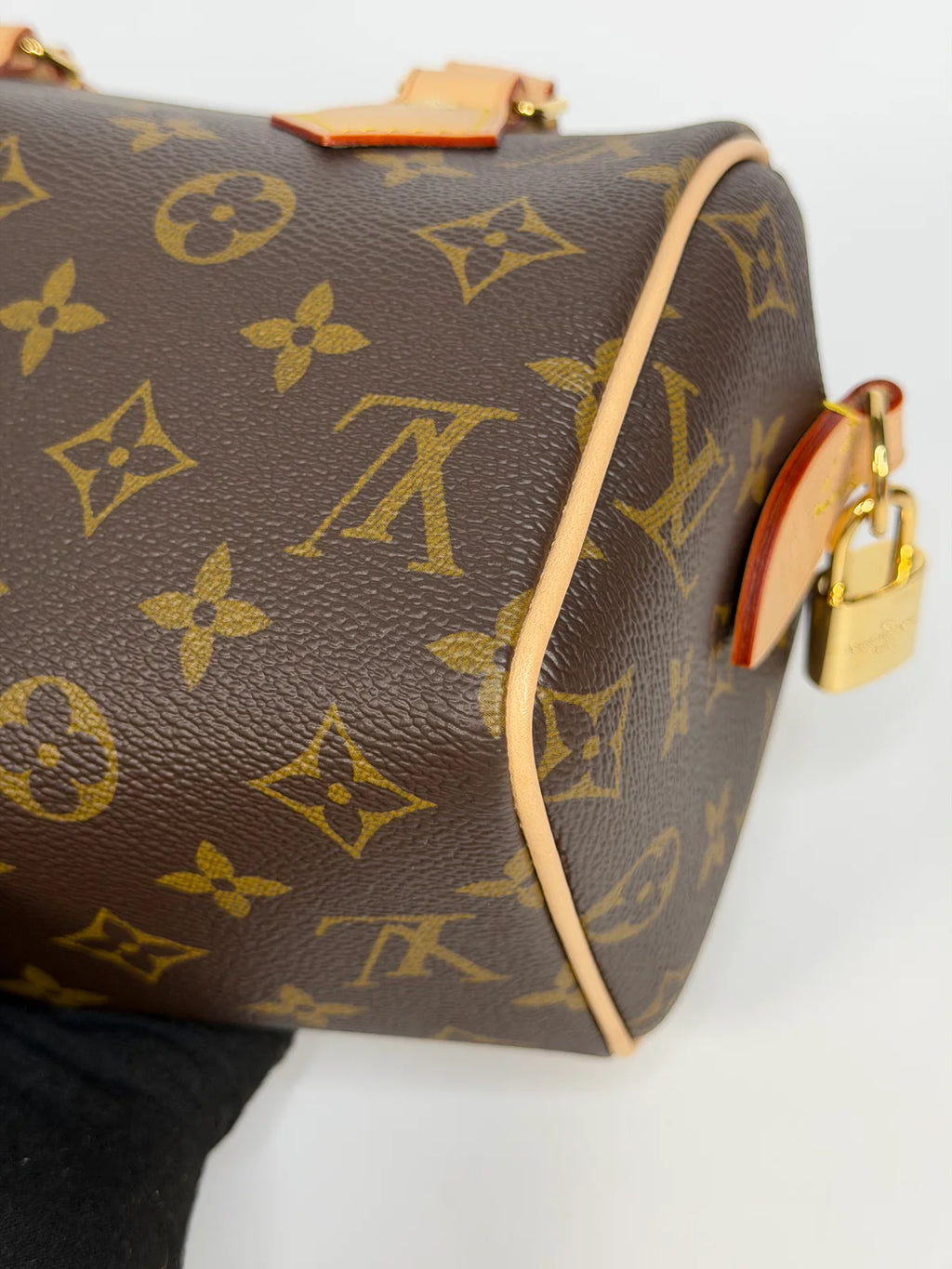 LOUIS VUITTON SPEEDY 20 IN MONOGRAM CANVAS WITH GOLD HARDWARE
