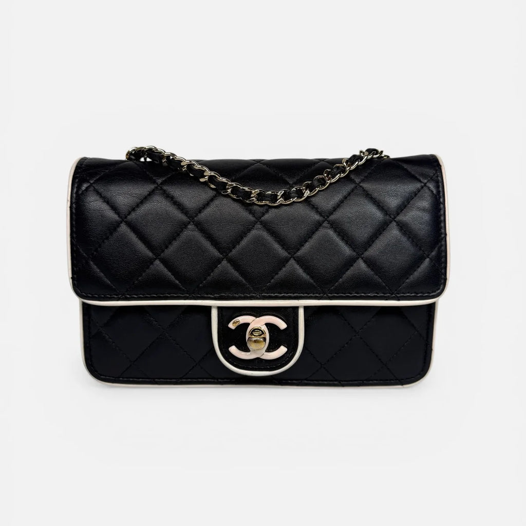 CHANEL WALLET ON CHAIN 2026 COLLECTION WITH PALE GOLD HARDWARE