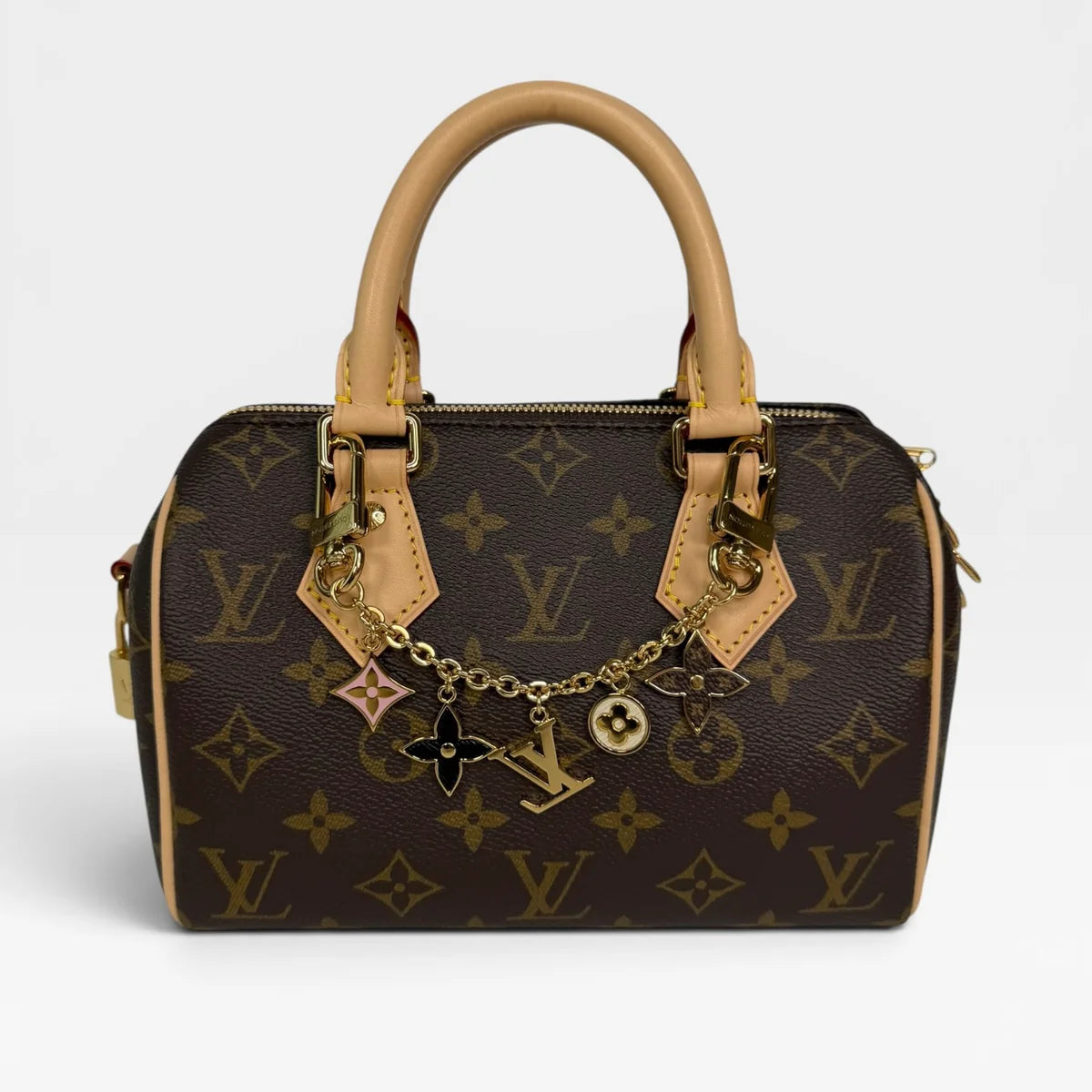 LOUIS VUITTON SPEEDY 20 IN MONOGRAM CANVAS WITH GOLD HARDWARE