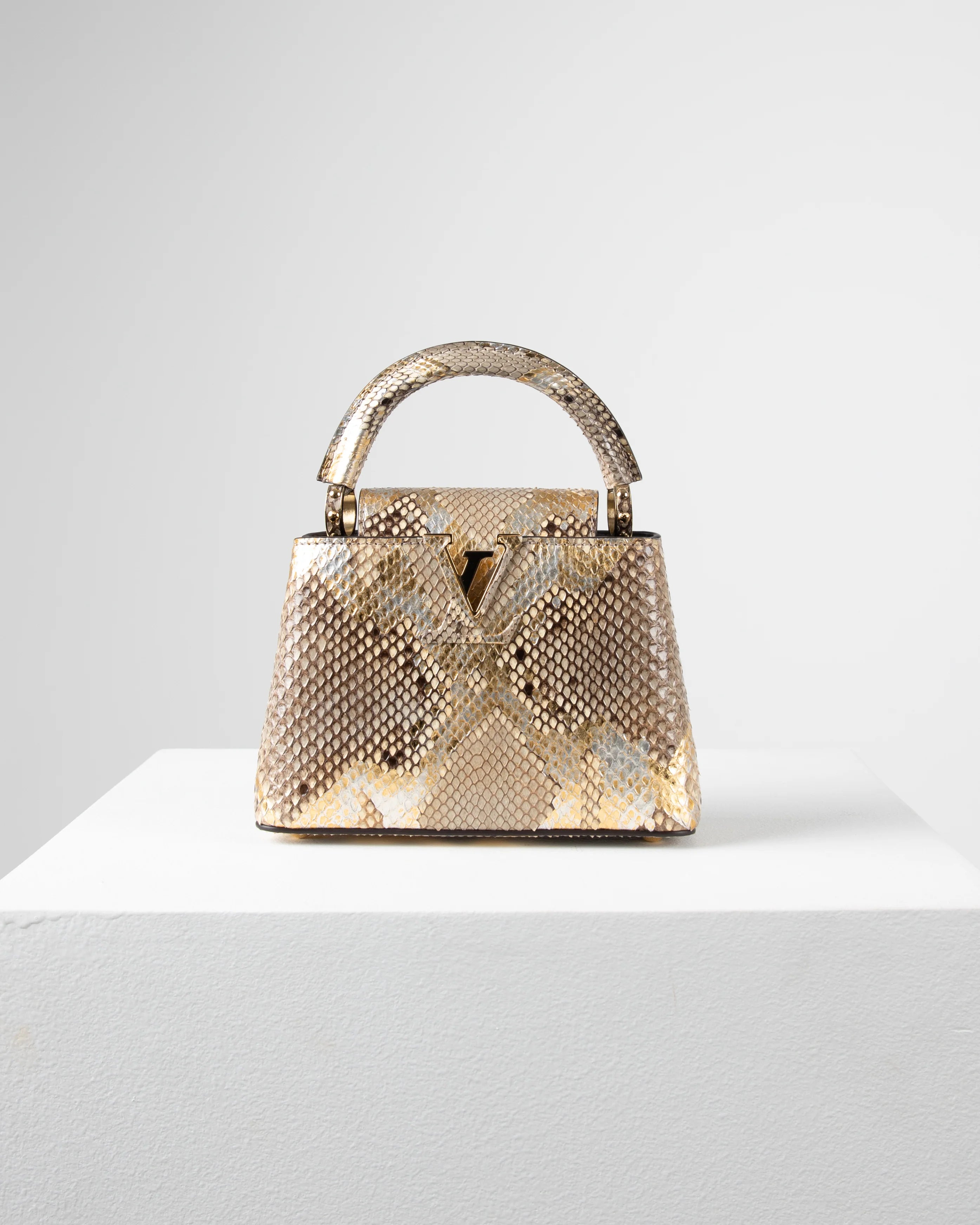 Louis Vuitton Capucine Bag