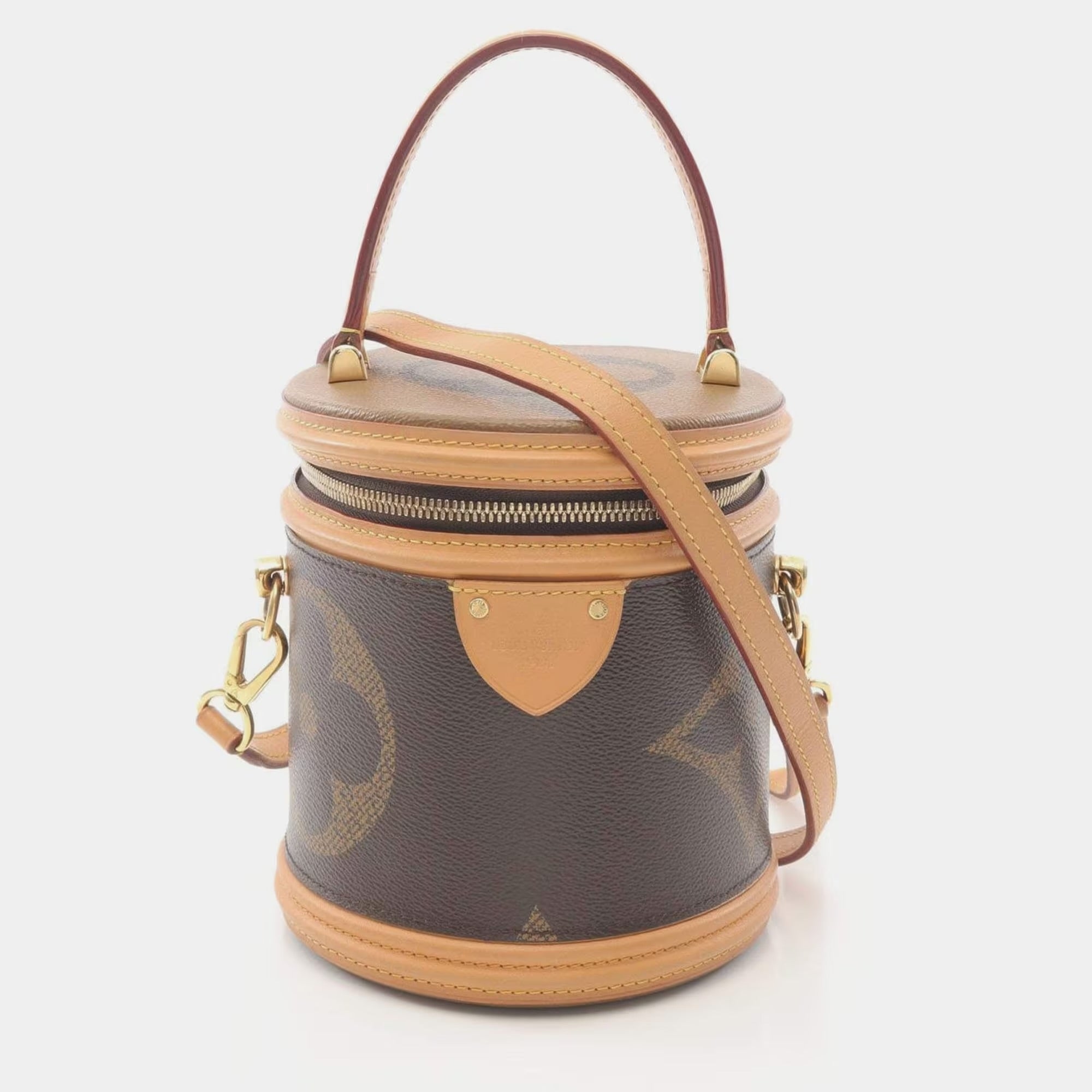 Louis Vuitton Cannes Brown Coated Canvas, Leather Top Handle Bag