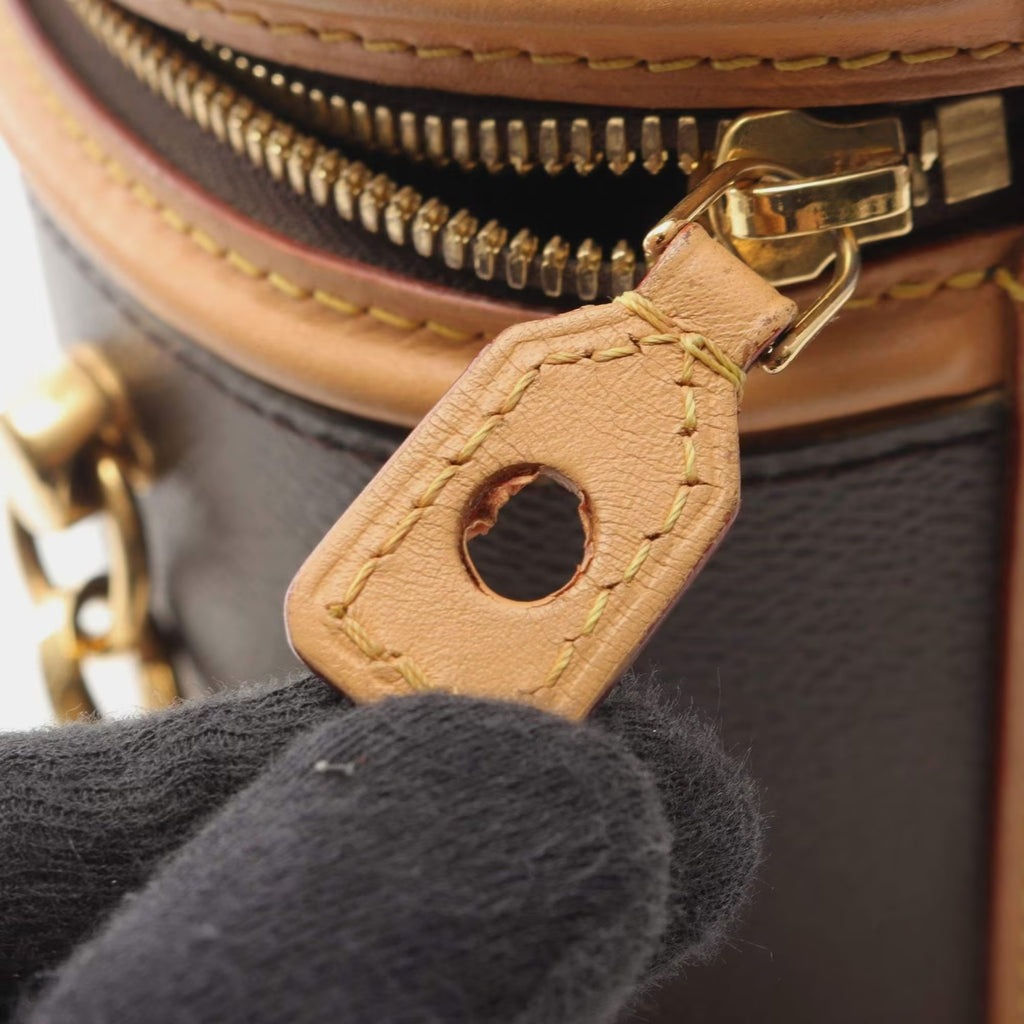 Louis Vuitton Cannes Brown Coated Canvas, Leather Top Handle Bag