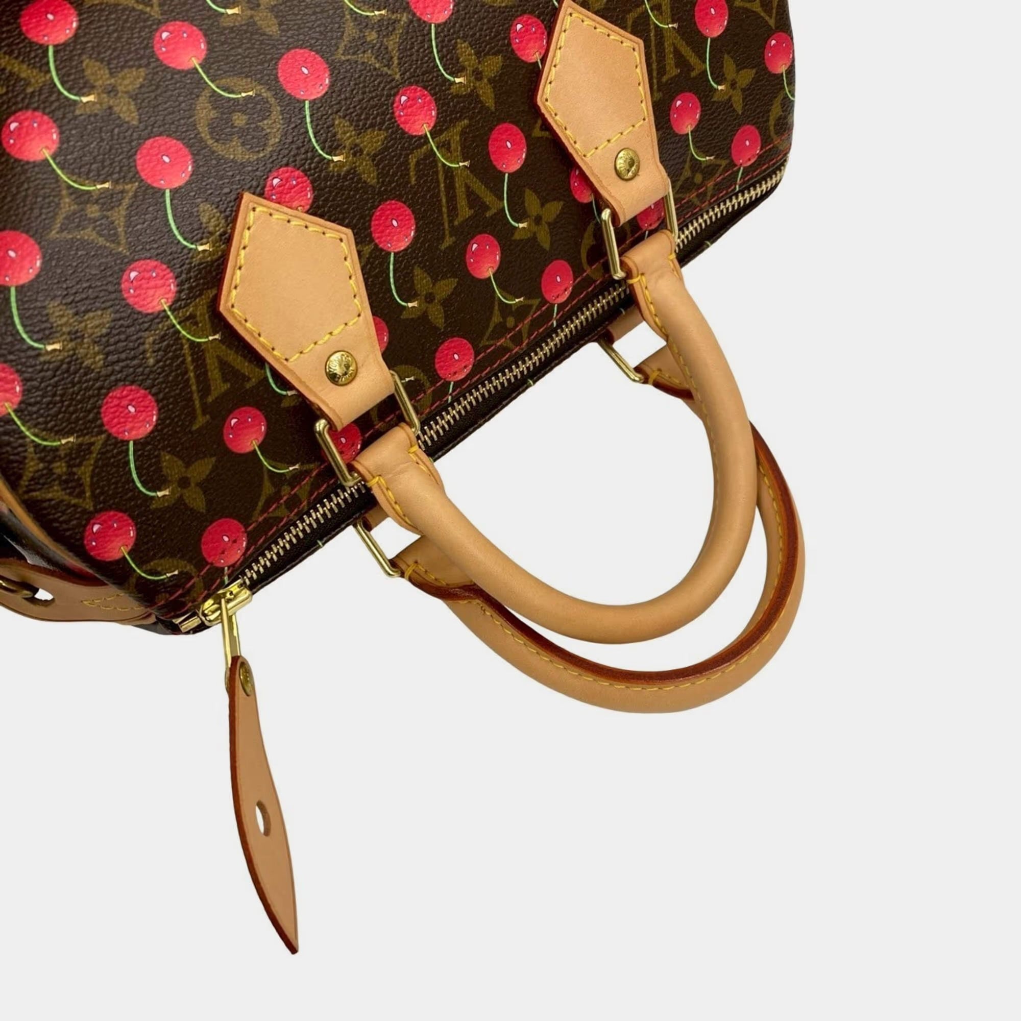 Louis Vuitton Speedy 25 Monogram Cherry Leather Handbag