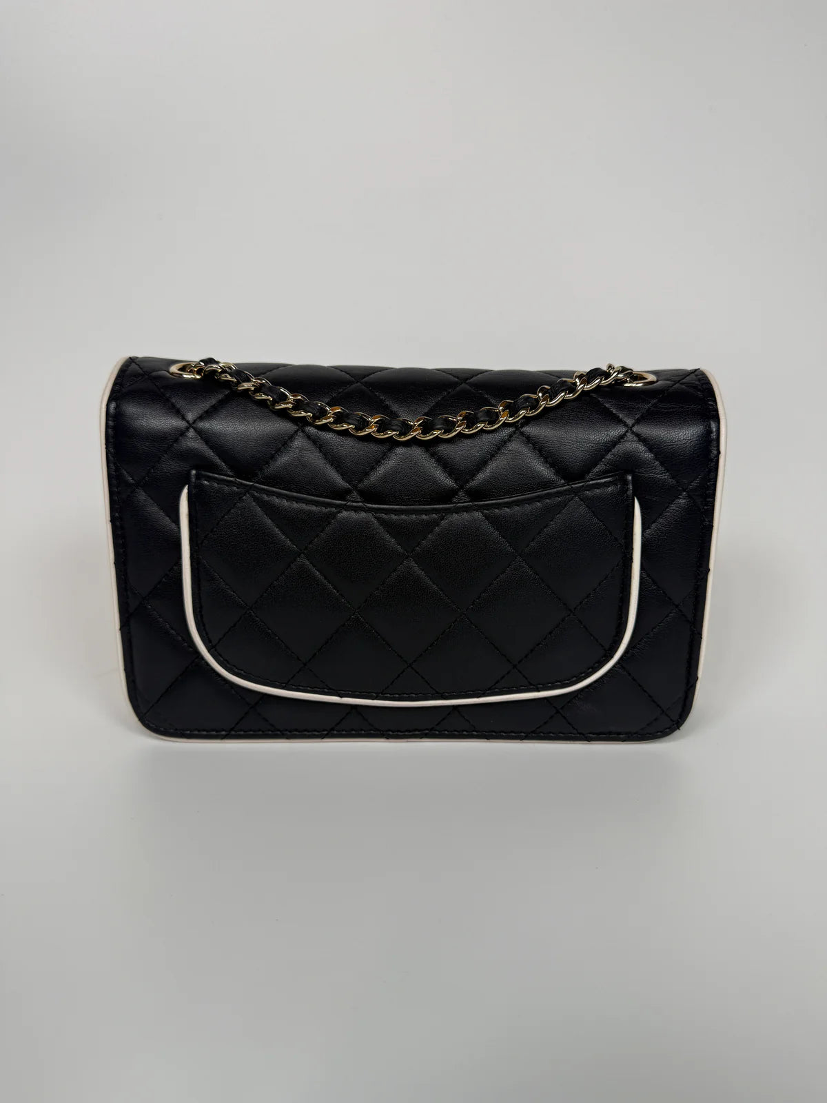 CHANEL WALLET ON CHAIN 2026 COLLECTION WITH PALE GOLD HARDWARE
