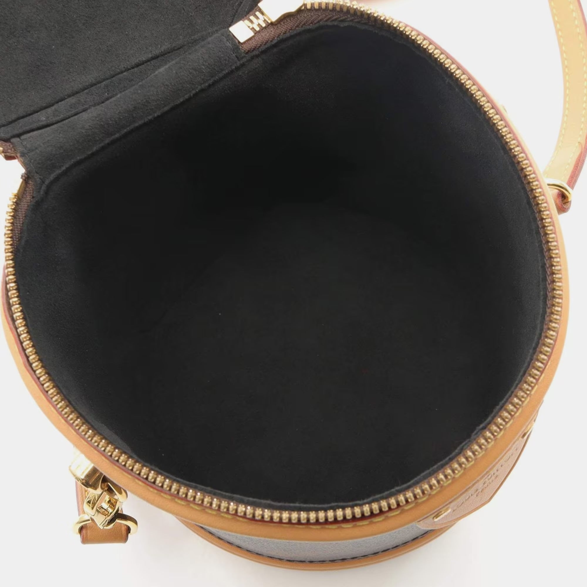 Louis Vuitton Cannes Brown Coated Canvas, Leather Top Handle Bag