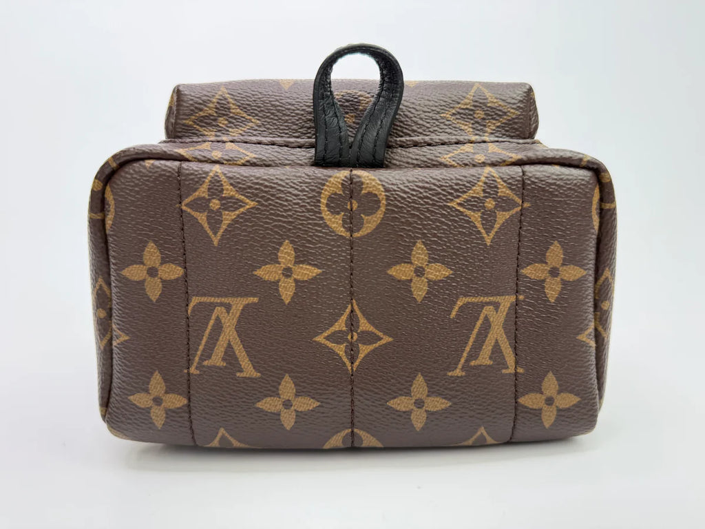 LOUIS VUITTON PALM SPRINGS MINI BACKPACK
