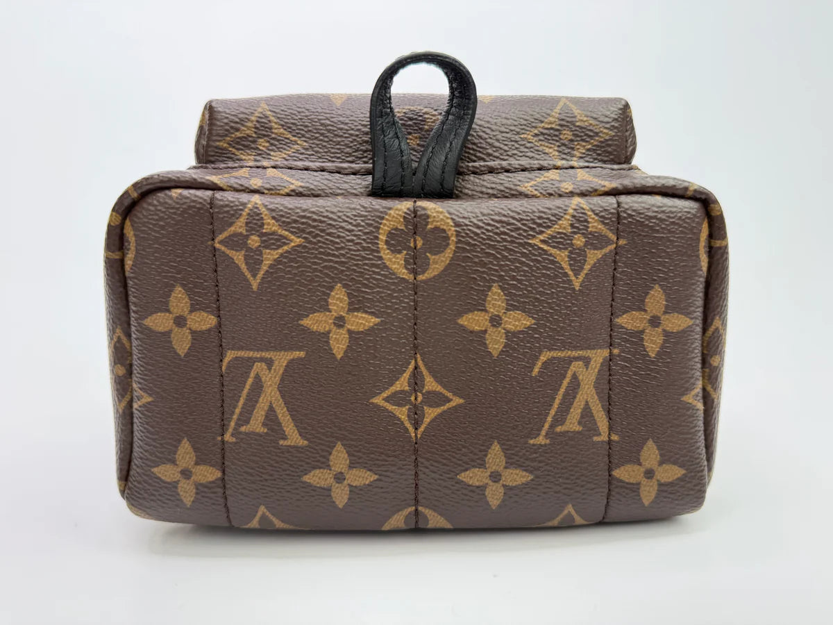 LOUIS VUITTON PALM SPRINGS MINI BACKPACK