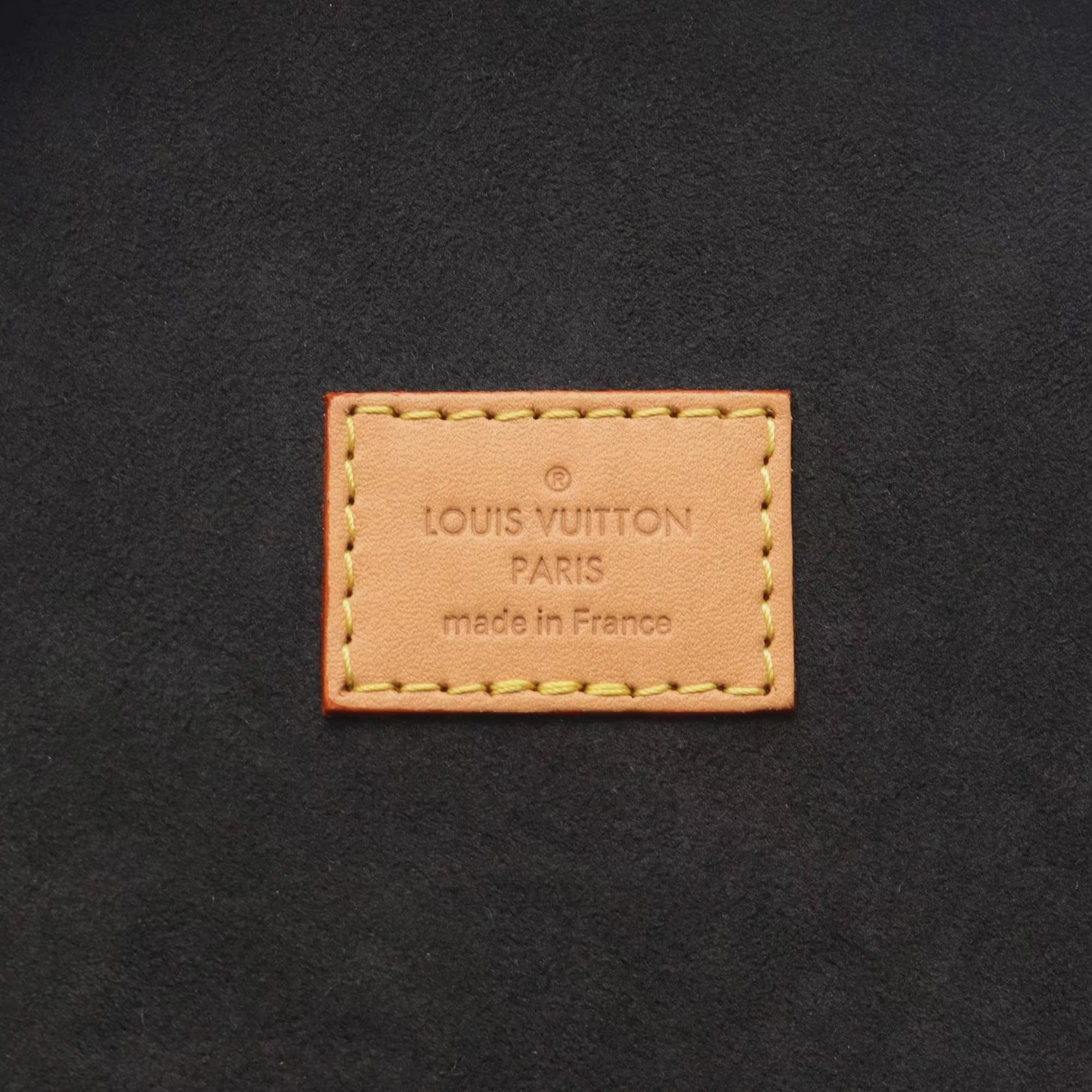 Louis Vuitton Cannes Brown Coated Canvas, Leather Top Handle Bag